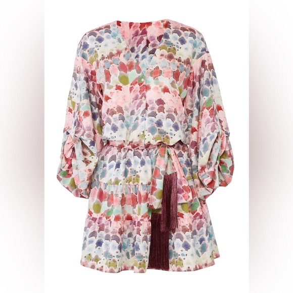 Alexis Damiani Dress - Picture 4 of 4